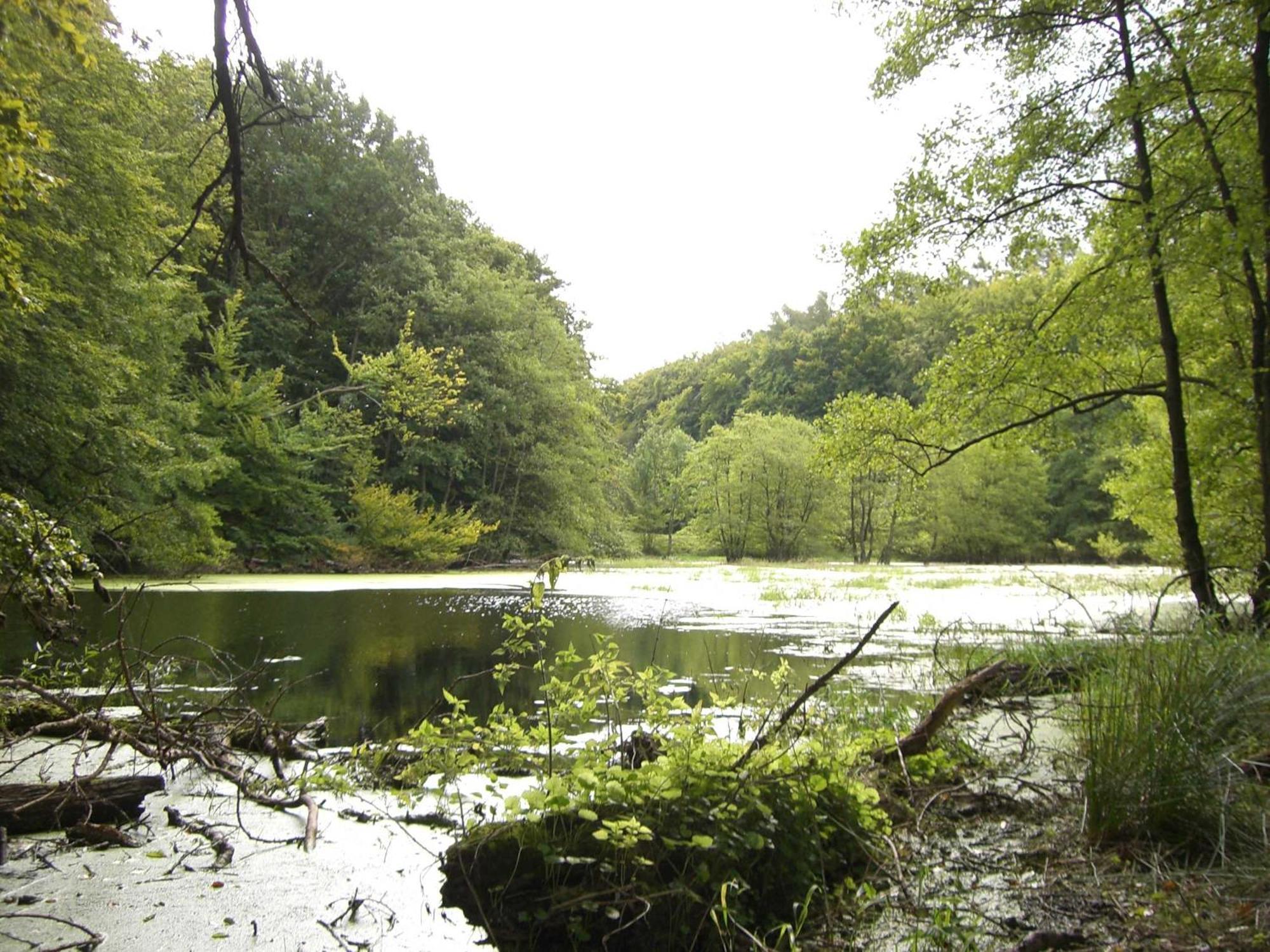 Appartementhaus Sonnenbad App 04 사스니츠 외부 사진